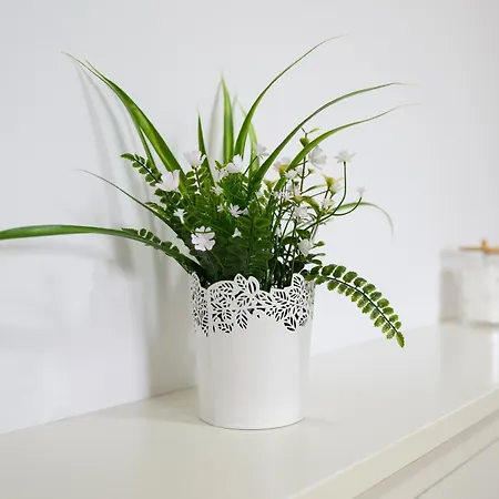 Rosales Las Palmas de Gran Canaria