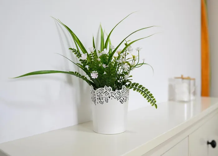 Rosales Las Palmas de Gran Canaria